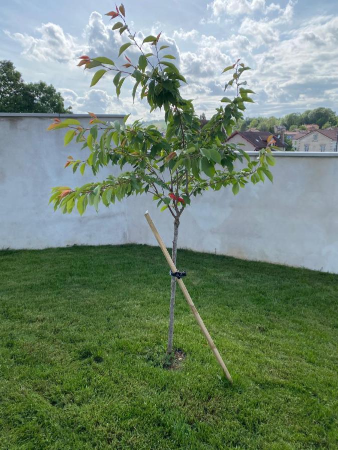Olga Chambre D'Hote Verdun-sur-Meuse ภายนอก รูปภาพ